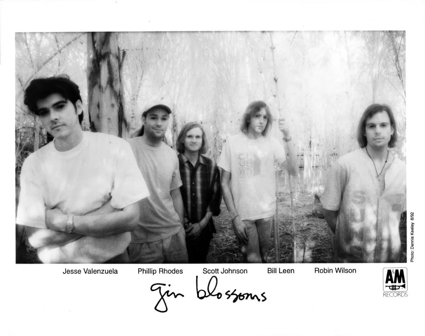 Gin Blossoms