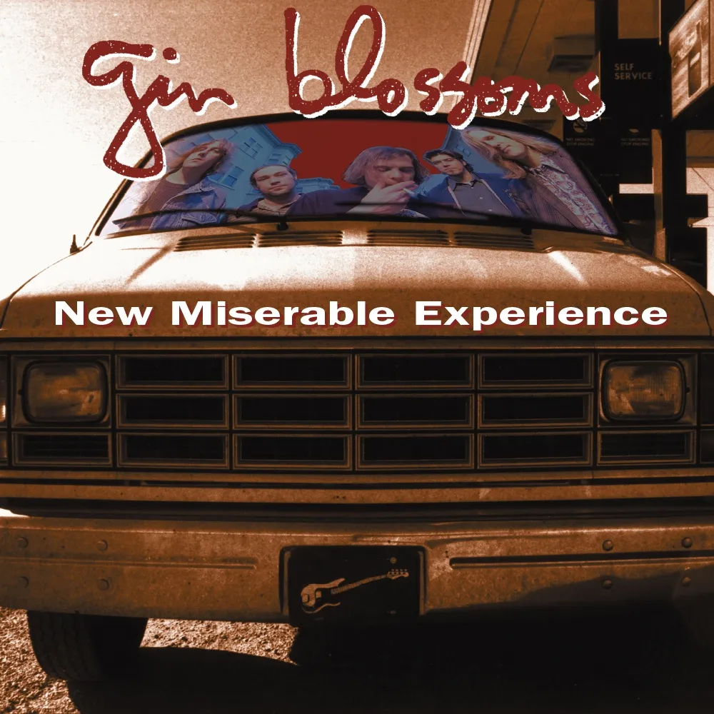 New Miserable Experience